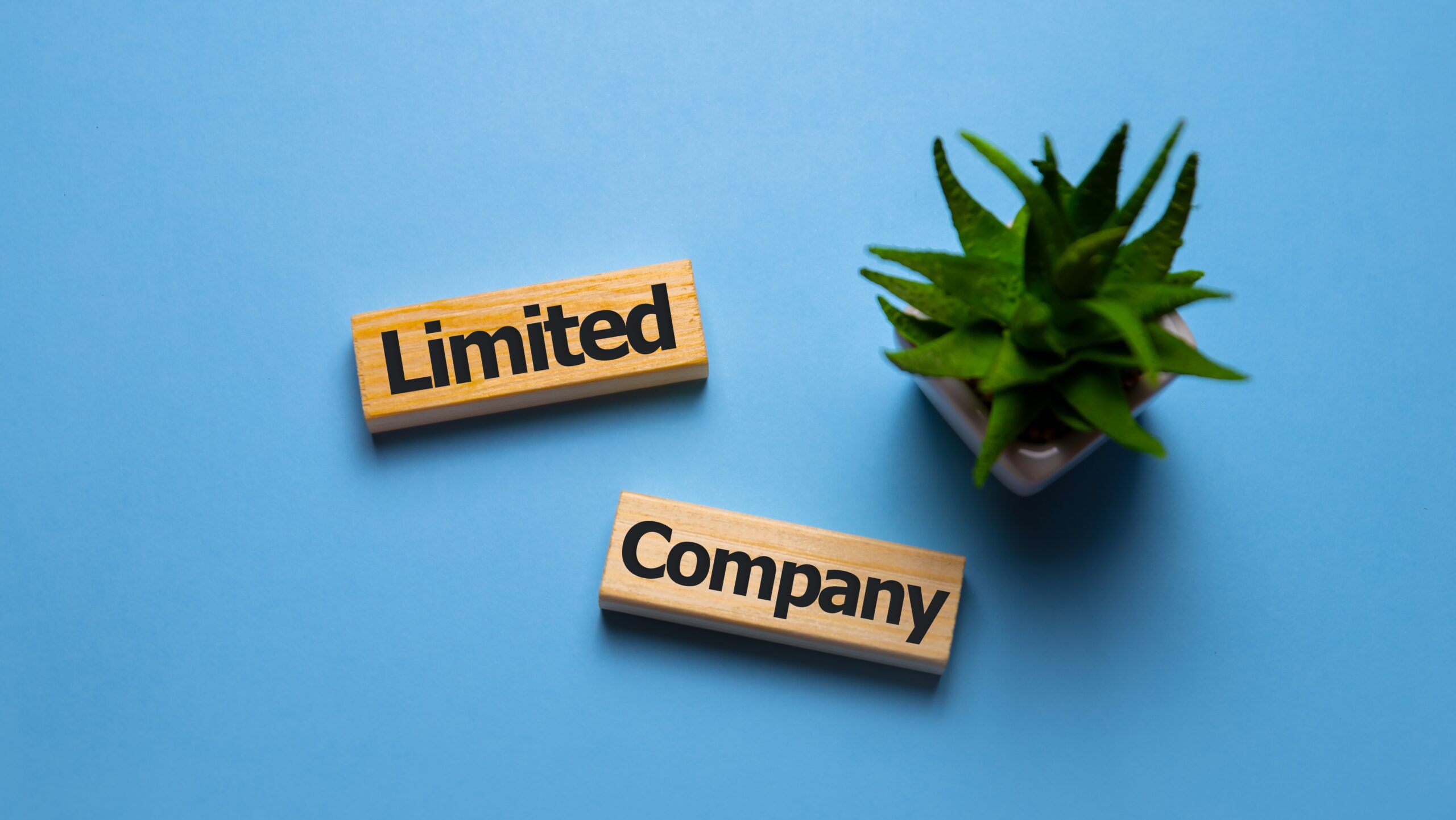 What is a limited company? 